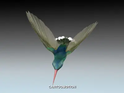 Humming bird Low-poly 3D model