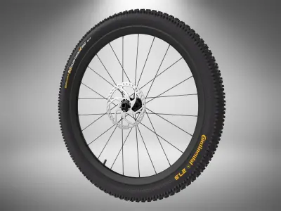 Bicycle Wheel 3D model