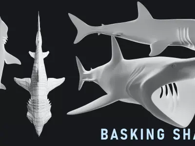 Lowpoly Basking Shark Low-poly 3D model