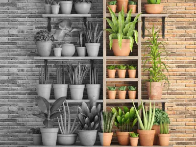 collection of plants in clay pots PART 2 3D model