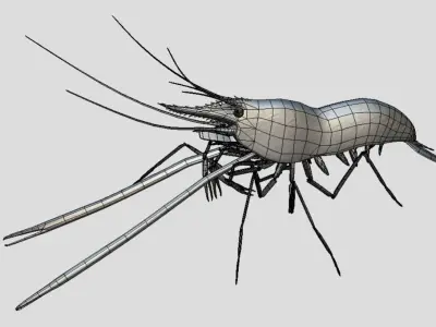 Macrobrachium Rosenbergii Realistic Animated Low-poly 3D model