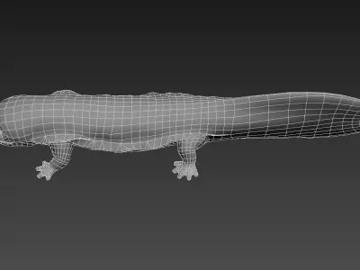Giant salamander Low-poly 3D model