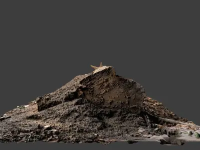 Ant Nest Log Low-poly 3D model