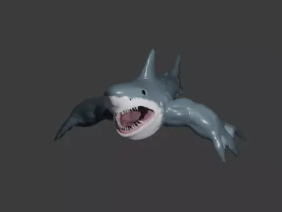 BuffShark 3D model