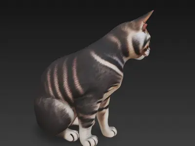 Cat Realistic 3D Model Basic - Low Poly Realistic Low-poly 3D model