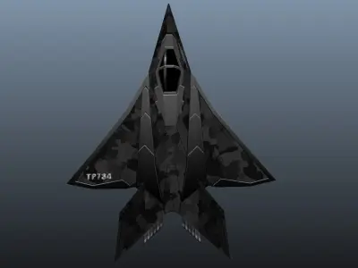 Stealth Fighter Low-poly 3D model