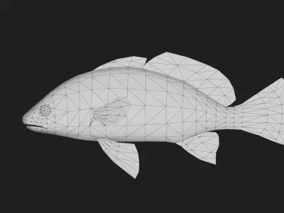 Corb fish Low-poly 3D model