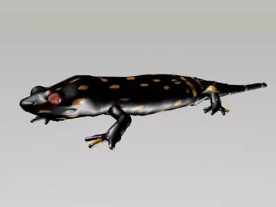LIZARD LOW POLY 3D model