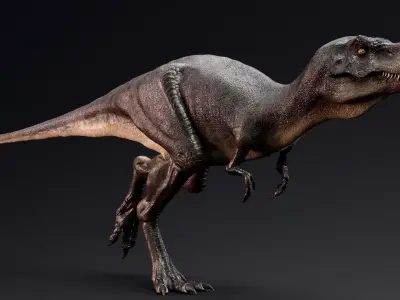 Dinosaur Juvenile Tyrannosaurus Rex - Unity Project Low-poly 3D model