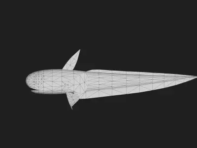Rattail Low-poly 3D model