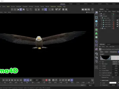 Realistic Animated Bald Eagle Low-poly 3D model