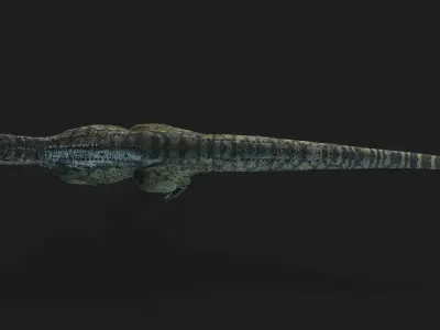 Carnotaurus dinosaur Low-poly with textures Low-poly 3D model