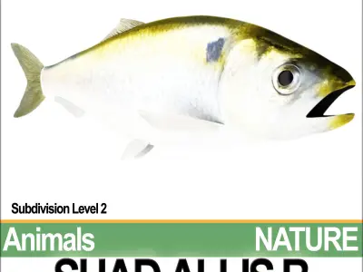 Allis Shad B 3D model