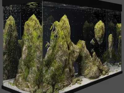 Aquarium with cliff and moss 3D model