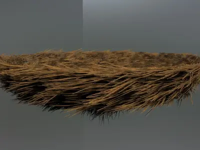 bird nest 3D model