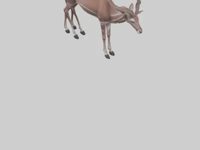 Kudu grazing model Low-poly 3D model