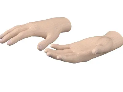 Female Hand Base Mesh 01 3D model
