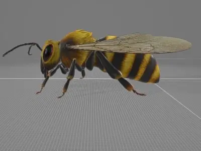 Bee Animation 3D model