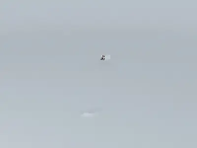 Municipality of San Miguel del Rio Mayo Free 3D model