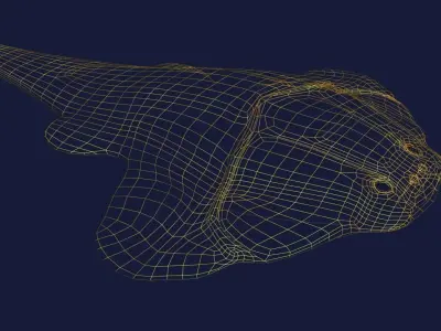 Gemuendina shark 3D model