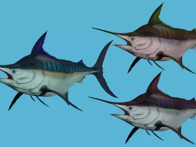 SWORD FISH RIGGED ANIMATED 7 Low-poly 3D model