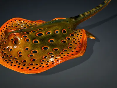 Ray Fish-A2 3D model