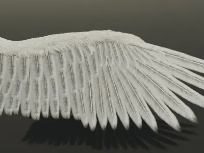 Wing Angels  Bird Low-poly 3D model