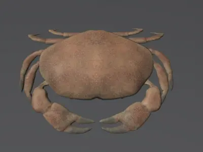 Crab Low Poly Realistic Low-poly 3D model