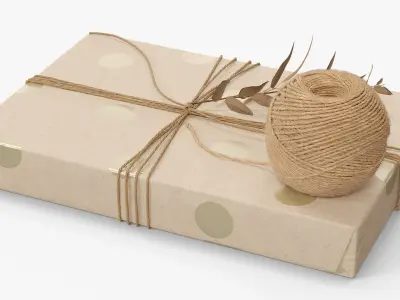 Gift Box Wrapped Jute Twine with Decorative Twig 3D model