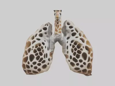 Giraffe Lungs Low-poly 3D model