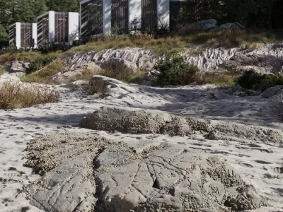  Medium Limpet Covered Beach Rock Model 