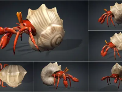 Pack-06 UnderWater 3D model