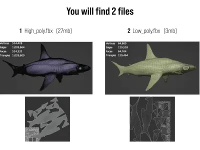 Shark Hammerhead Sphyrnidae 3D model