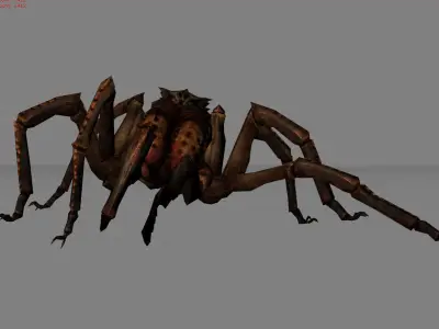 Spider I Animal Low-poly 3D model