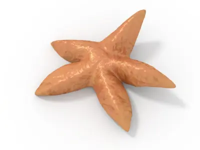 Starfish Rigged 3D model
