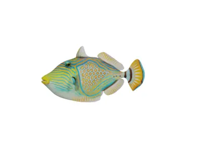Orangestripe Triggerfish Low-poly 3D model