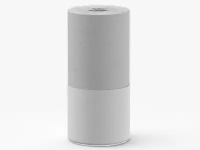Paper Towels Single Blank and Generic Label 3D model