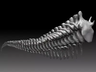 Dinosaur Tarbosaurus Bataar Tail Set 3D model