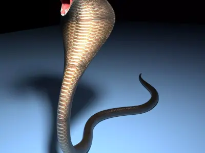 Snake cobra Free low-poly 3D model