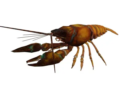 Crayfish Low-poly 3D model