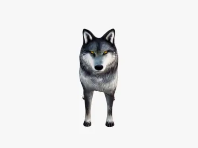 Wolf Animal Free 3D model