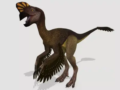 Oviraptor Low-poly 3D model