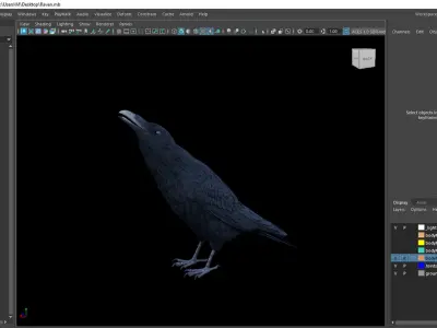 Realistic Animated Raven Low-poly 3D model