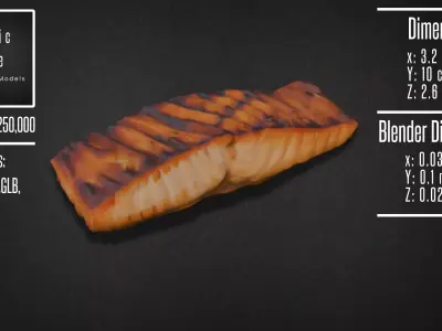 Realistic Grilled Salmon Fillet Model 3D model
