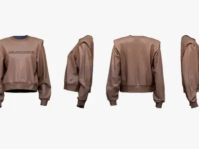 001278 female pinki blouse relationshit Low-poly 3D model