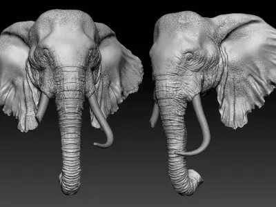 Elephant Head Free 3D model