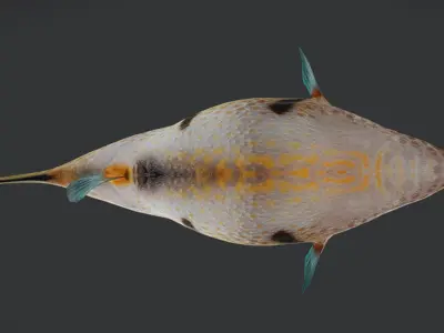 Valentin Sharpnose Puffer Animated 3D model