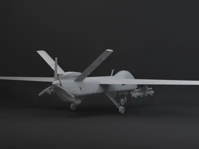 tai anka s Low-poly 3D model