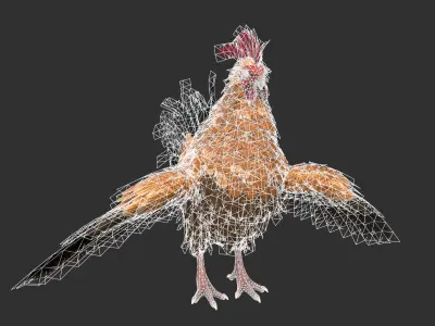 Chicken Rooster Low-poly 3D model