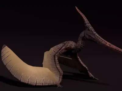 Pterodactyl Asset Pack Low-poly 3D model